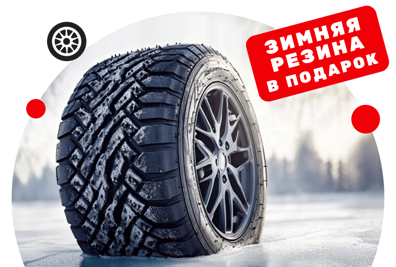 Зимние шины в подарок!