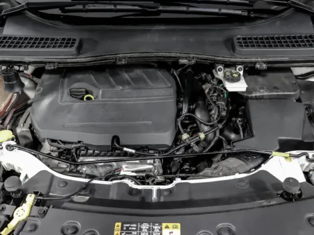 Ford Kuga, II Рестайлинг — фото 15