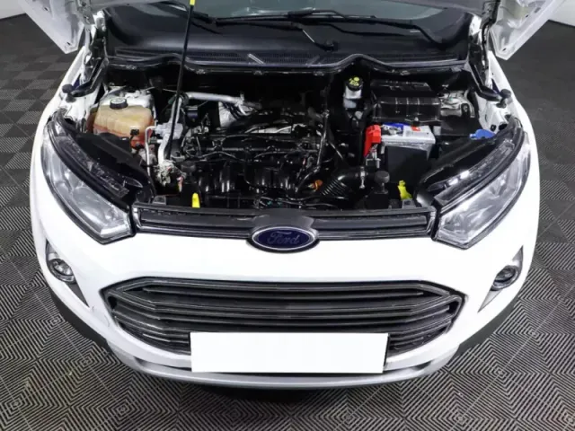 Ford EcoSport, II — фото 10